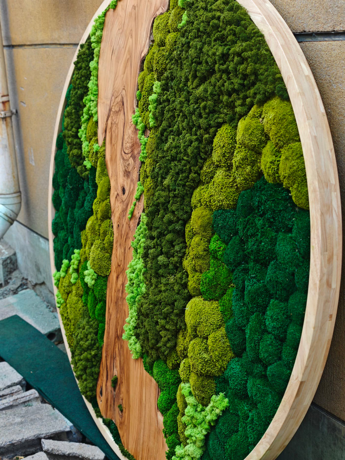 Close detail of a round wood-framed moss artwork with a central natural wood grain panel.