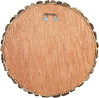 Design reference: Rear view of the round driftwood wall decoration and backing.