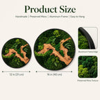 Two circular wall art pieces featuring preserved green moss and light brown wood elements within a black aluminum frame. The sizes are 12 inches and 16 inches in diameter. The image includes text labels for product size and features.