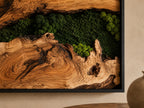 A wall art piece featuring a natural wood slab with prominent grain patterns and dark knots, contrasted by patches of preserved green moss in varying shades of forest and lime, all enclosed within a thin black rectangular frame.