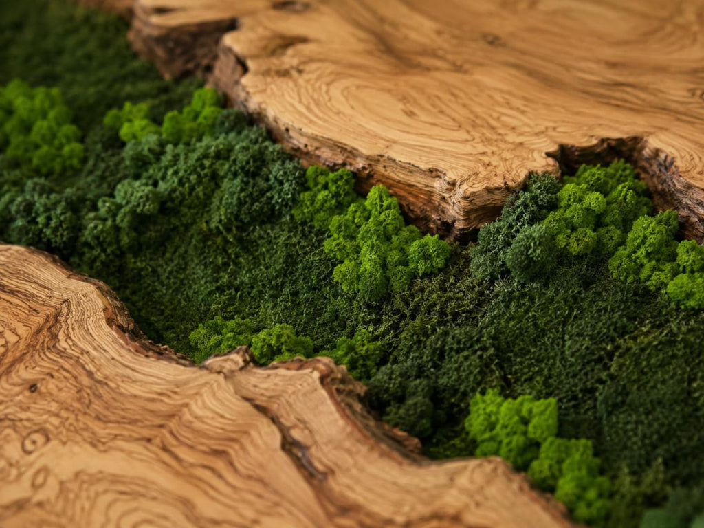 A decorative wall art piece featuring two large, polished slabs of light brown wood with prominent natural grain patterns. Between the wood sections lies a dense, textured strip of preserved moss in shades of dark and lime green.