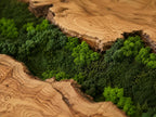 A decorative wall art piece featuring two large, polished slabs of light brown wood with prominent natural grain patterns. Between the wood sections lies a dense, textured strip of preserved moss in shades of dark and lime green.
