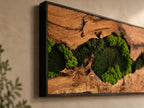 A rectangular wall art piece featuring a natural wood slab with a prominent grain and dark knots, framed in a thin black border. The center of the wood is filled with clusters of vibrant, textured green preserved moss.
