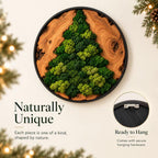 A circular wall art piece featuring a natural wood slice base with a triangular arrangement of preserved green moss in the center. The wood slice is enclosed in a thin black frame. A metal sawtooth hanger is attached to the back.
