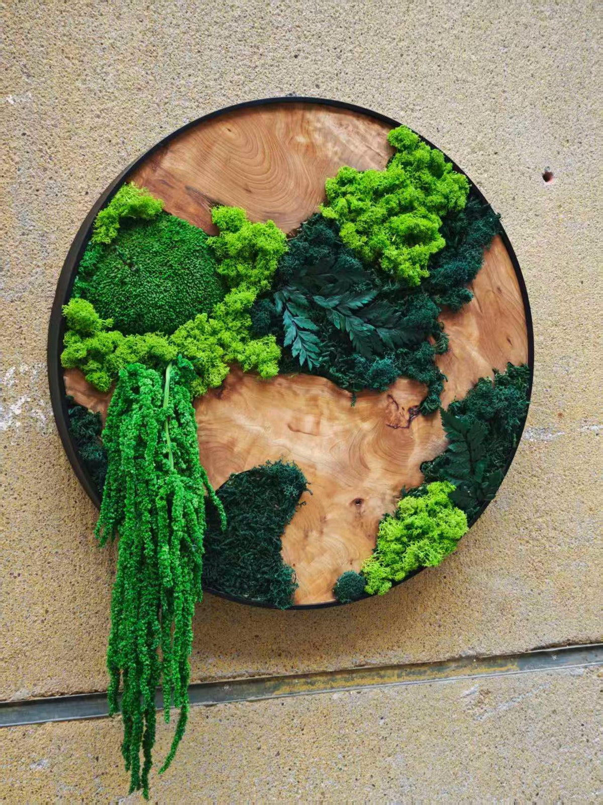 A circular wall art piece featuring a polished light brown wood slice base enclosed in a thin black metal frame. The surface is decorated with various shades of green preserved moss, including bright lime and dark forest green clusters.