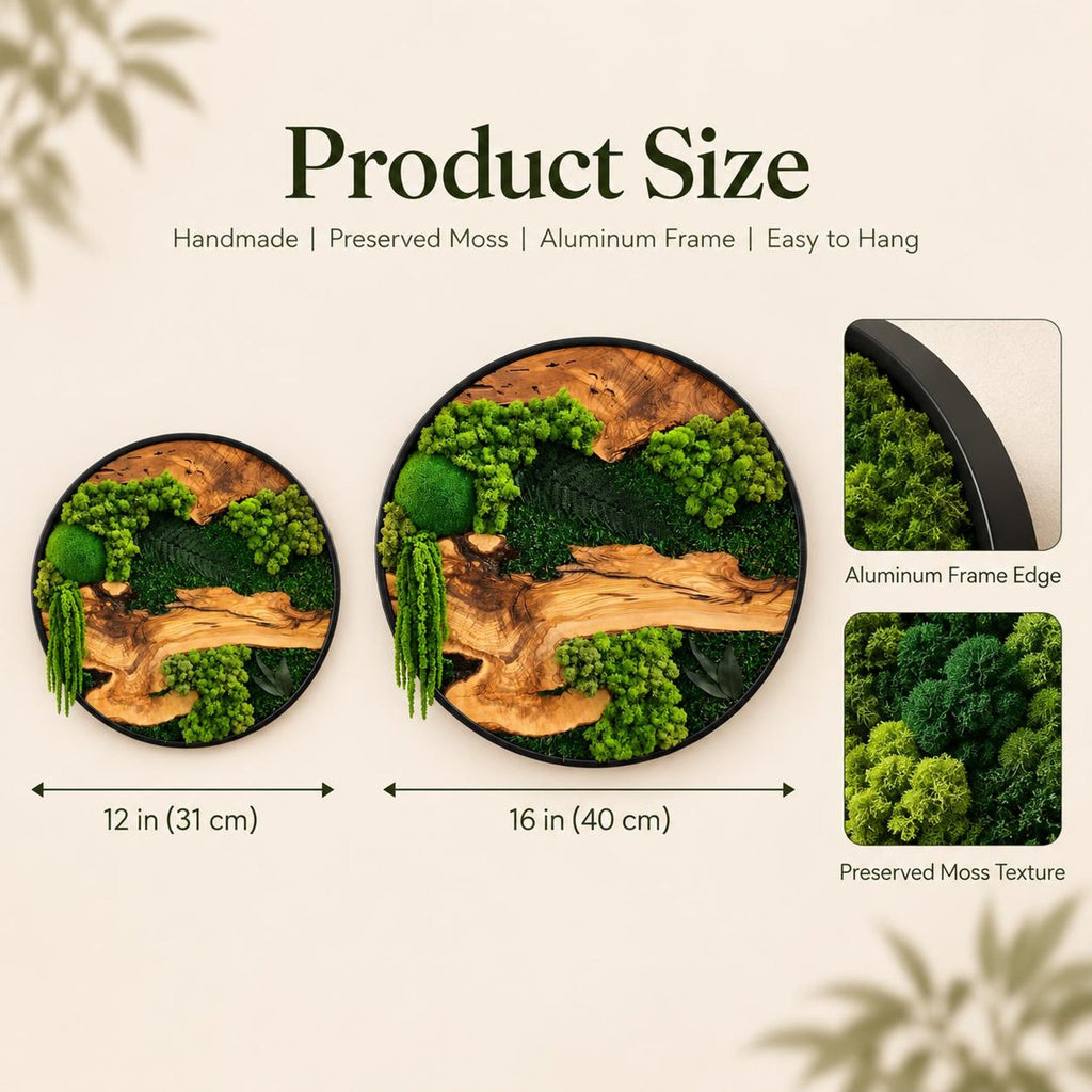 Two circular wall art pieces featuring preserved green moss and natural wood grain set in black aluminum frames. The smaller piece measures 12 inches and the larger piece measures 16 inches. Includes close-up views of the frame and moss.