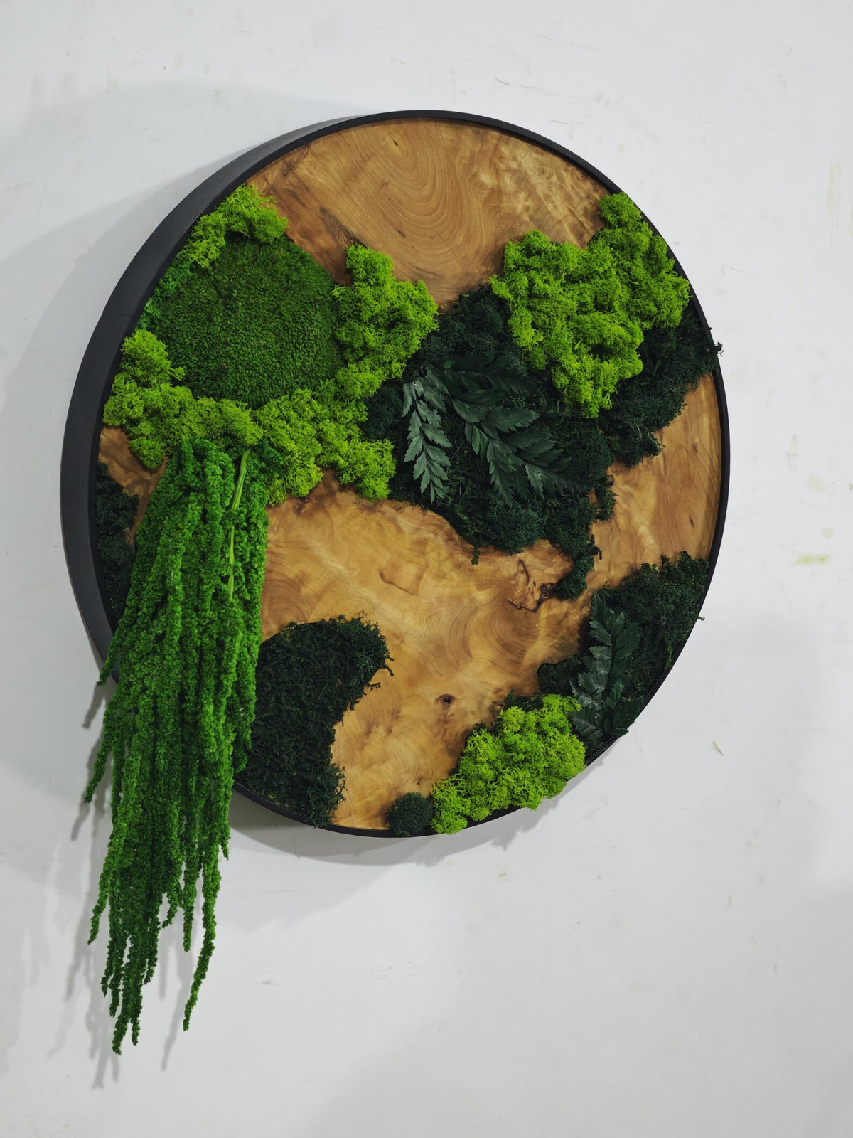 A circular wall art piece featuring a natural wood grain base enclosed in a thin black frame. The surface is decorated with various shades of green preserved moss, including bright lime and dark forest tones, and dark green fern leaves.