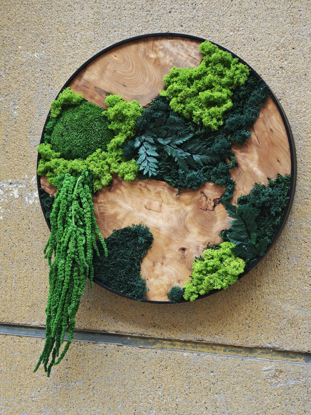 A circular wall art piece featuring a natural wood grain base enclosed in a thin black metal frame. The surface is decorated with various shades of preserved green moss, dark green fern fronds, and a long, trailing green plant element.