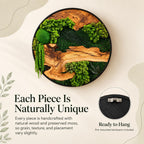 A circular wall art piece featuring a black frame, natural wood grain, and various shades of preserved green moss. The design includes a round moss ball, hanging moss strands, and a metal sawtooth hanger on the back for mounting.