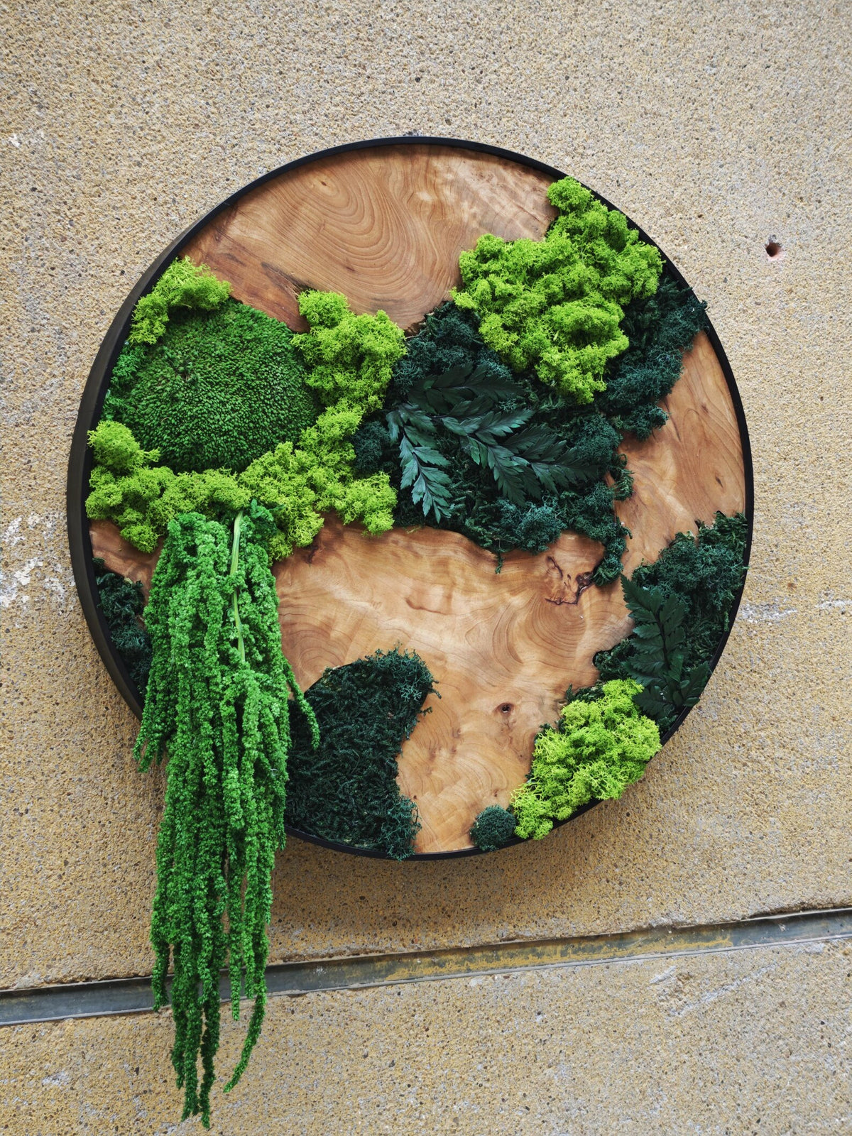 A circular wall art piece featuring a natural wood slice base with a black metal frame. The wood is decorated with various shades of preserved green moss, dark green fern leaves, and a long, trailing green plant hanging from the side.