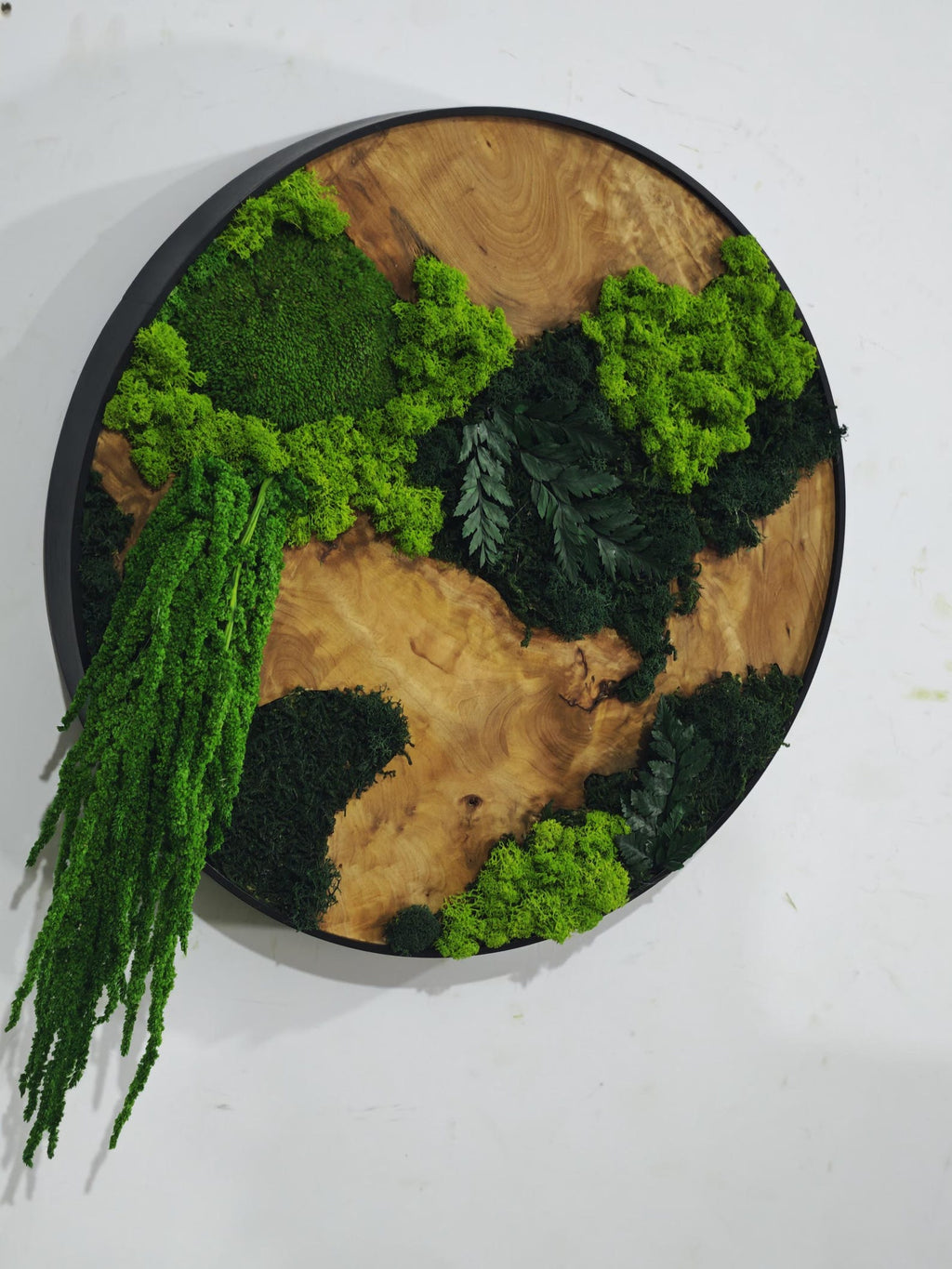 A circular wall art piece featuring a natural wood grain base enclosed in a thin black metal frame. The surface is decorated with clusters of bright green preserved moss, dark green moss, and dark green fern leaves arranged in patches.