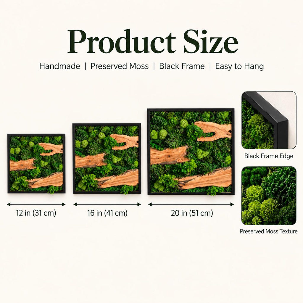 Three square wall art pieces featuring preserved green moss and light brown wood accents in black frames. Sizes are labeled as 12 inches (31 cm), 16 inches (41 cm), and 20 inches (51 cm). Includes close-up views of the black frame edge and moss texture.