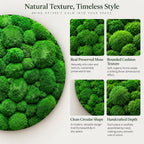 A circular wall art piece featuring dense, vibrant green preserved moss with a rounded, three-dimensional cushion texture. The artwork displays natural, organic forms and a deep, rich color palette, showcasing a clean, circular shape and handcrafted depth throughout the entire surface.