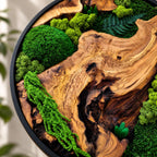 A circular wall art piece featuring a polished piece of natural wood with prominent grain patterns, accented by vibrant green preserved moss and a dark green fern frond, all encased within a thin black circular metal frame.