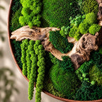 A circular wall art piece featuring a copper-colored frame filled with various shades of vibrant green preserved moss and a piece of light brown driftwood. The arrangement includes dense moss clusters and long, hanging moss strands.