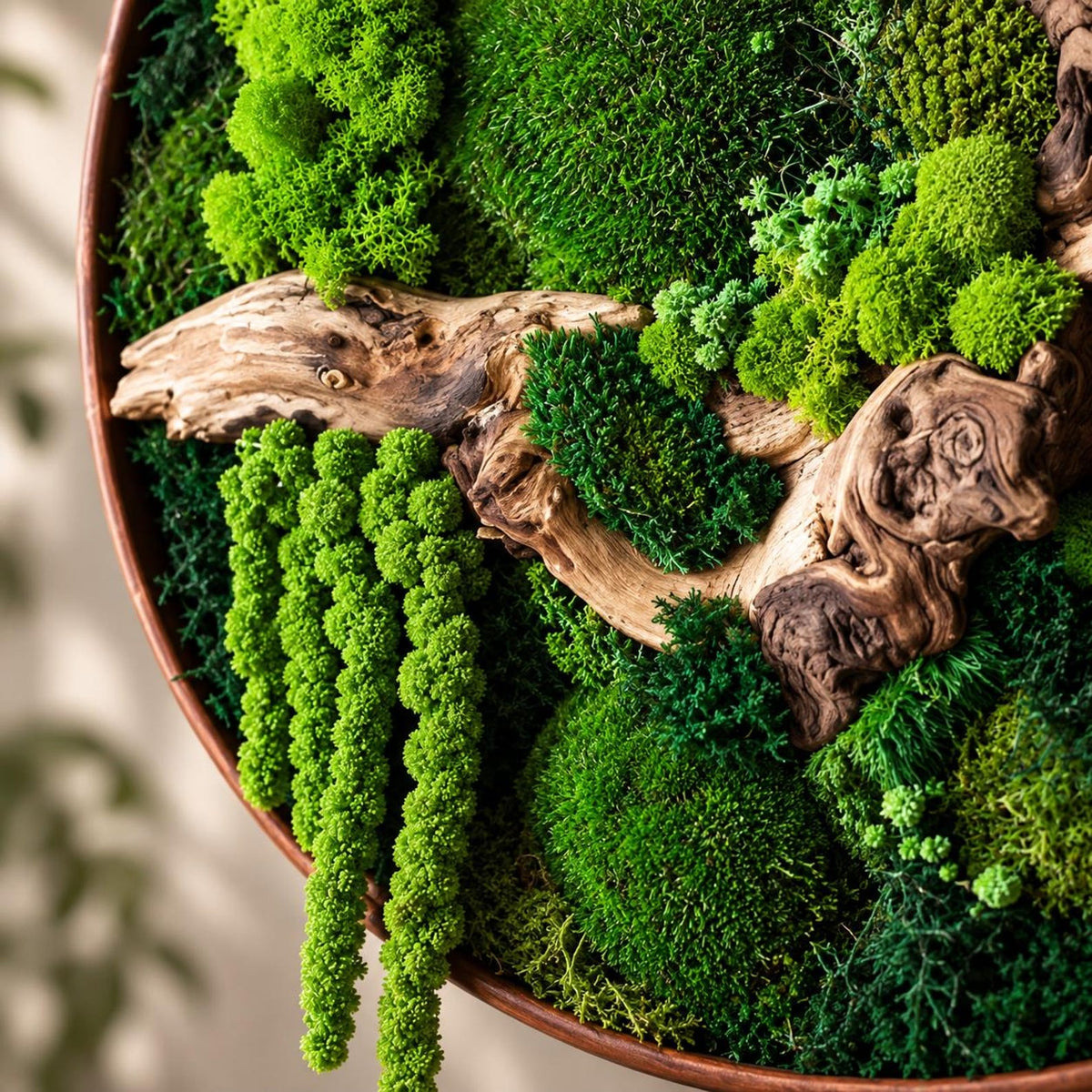 A circular wall art piece featuring a copper-colored frame filled with various shades of vibrant green preserved moss and a piece of light brown driftwood. The arrangement includes dense moss clusters and long, hanging moss strands.