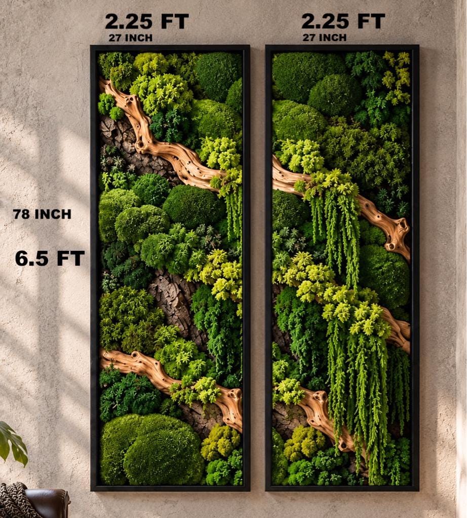 Two vertical rectangular wall art panels featuring preserved green moss and light brown driftwood branches. Each panel measures 2.25 feet or 27 inches wide and 6.5 feet or 78 inches tall, framed in black, showcasing varied textures of moss.