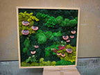 A square wall art piece featuring a dense arrangement of preserved moss in various shades of green, including lime and forest tones. The composition is accented with several brown, shelf-like fungi and small sprigs of red foliage.