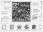 A black and white concept sketch of preserved moss wall art in a natural wood frame. The illustration details include preserved moss, decorative mushroom accents, layered textures, botanical elements, and hanging hardware.