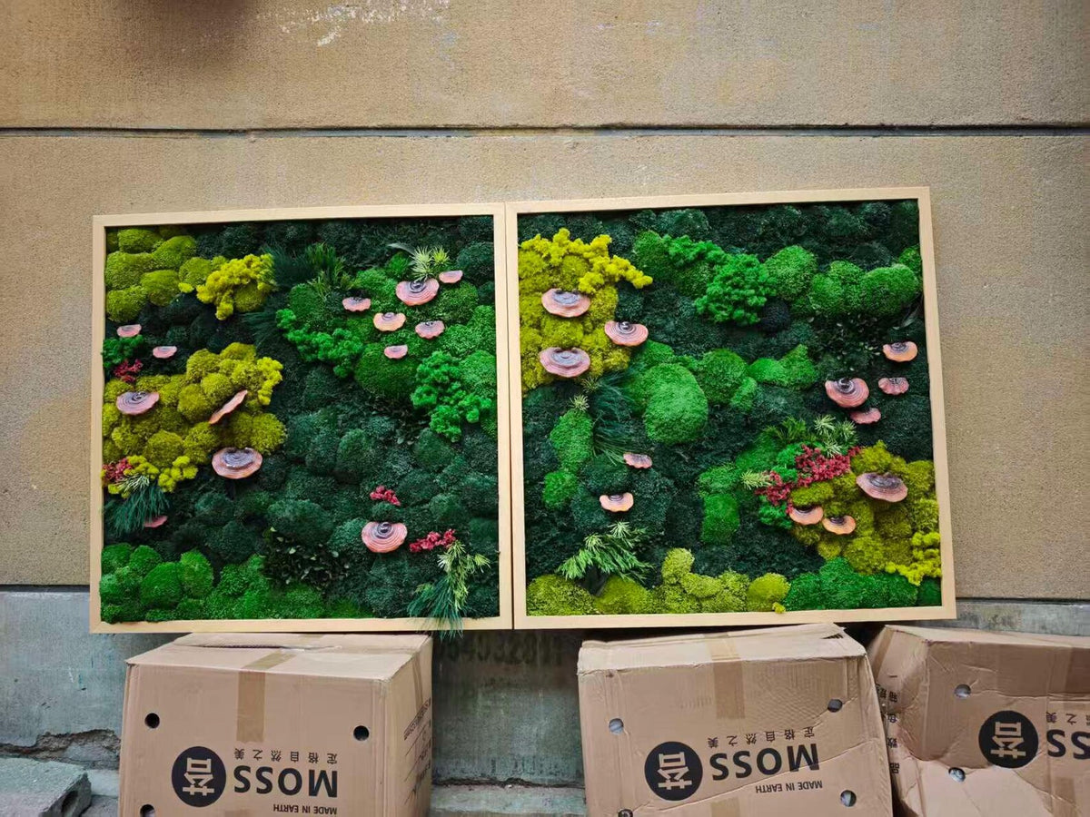 Two rectangular wall art pieces featuring preserved moss in various shades of green, including lime and forest green, accented with small, circular, pinkish-brown fungi and sprigs of greenery, all encased in light-colored wooden frames.
