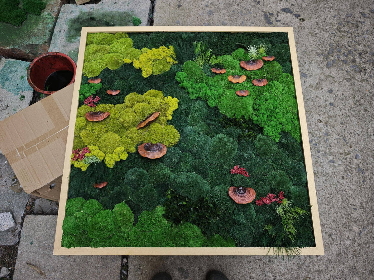 A square wall art piece featuring a preserved moss arrangement in a light wood frame. The composition includes various shades of green moss, small red accents, and several brown, shelf-like fungi distributed across the surface.