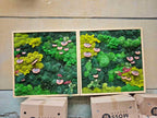 Two rectangular wall art pieces featuring preserved moss in shades of lime green, forest green, and dark emerald. The textured moss displays clusters of small, flat, circular, light brown fungi and thin green foliage within light wood frames.