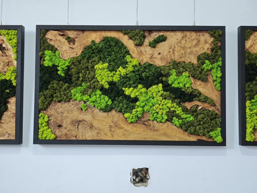 A rectangular wall art piece featuring a natural wood slab base with a live edge, framed in black. The wood surface is partially covered with preserved moss in various shades of bright lime green, forest green, and dark emerald green.