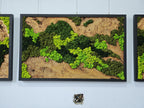A rectangular wall art piece featuring a natural wood slab base with a live edge, framed in black. The wood surface is partially covered with preserved moss in various shades of bright lime green, forest green, and dark emerald green.