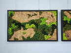 A rectangular wall art piece featuring a natural wood slab with a prominent burl grain pattern, accented by patches of preserved moss in varying shades of bright lime green and deep forest green, all enclosed in a black frame.