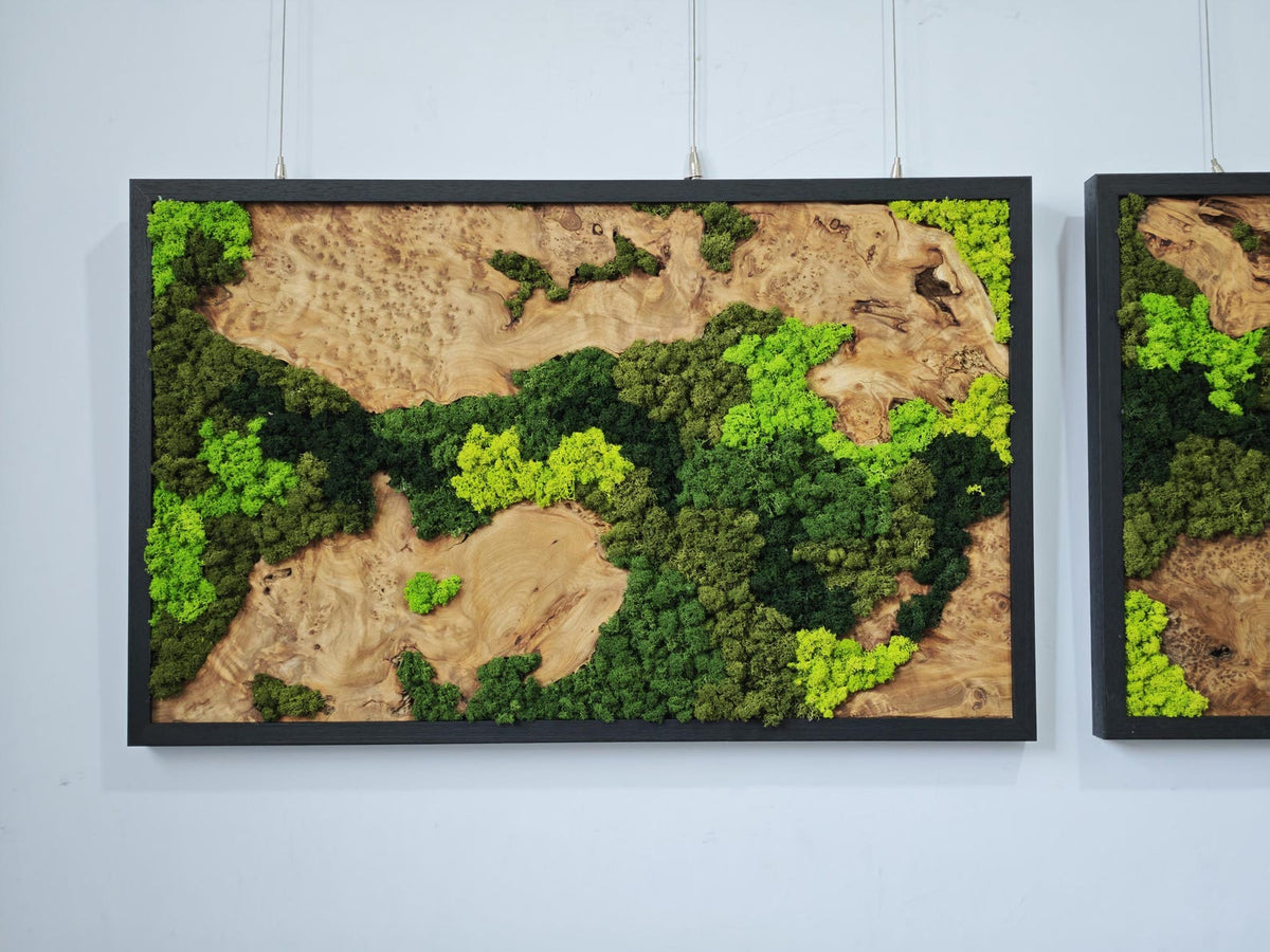 A rectangular wall art piece featuring a natural wood slab with a prominent burl grain pattern, accented by patches of preserved moss in varying shades of bright lime green and deep forest green, all enclosed in a black frame.