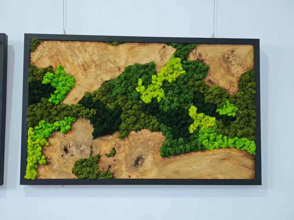 A rectangular wall art piece featuring a natural wood slab with a prominent grain pattern, framed in black. The wood surface is partially covered with preserved moss in varying shades of bright lime green, forest green, and dark olive.