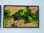 A rectangular wall art piece featuring a natural wood slab with a prominent grain pattern, framed in black. The wood surface is partially covered with preserved moss in varying shades of bright lime green, forest green, and dark olive.
