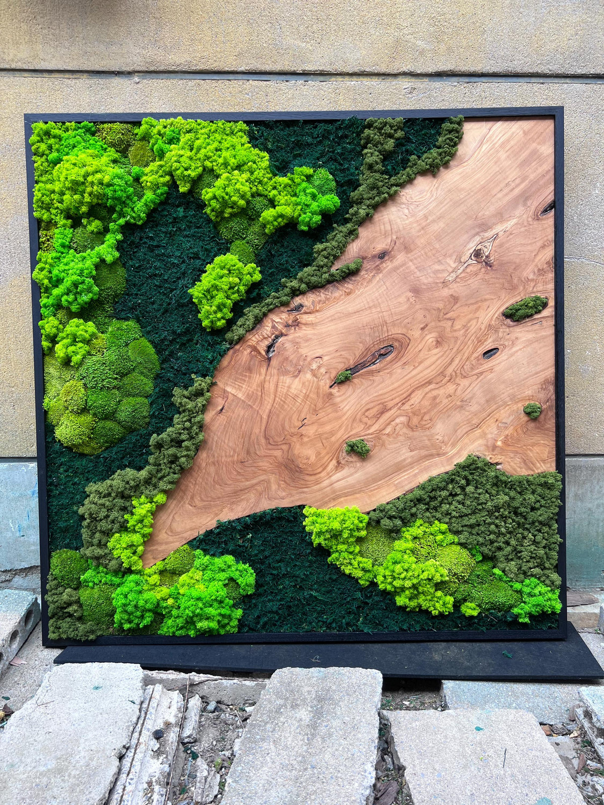 A square wall art piece featuring a natural wood panel with a prominent grain and knots, partially covered by preserved moss in varying shades of bright lime green and deep forest green, all enclosed within a thin black frame.