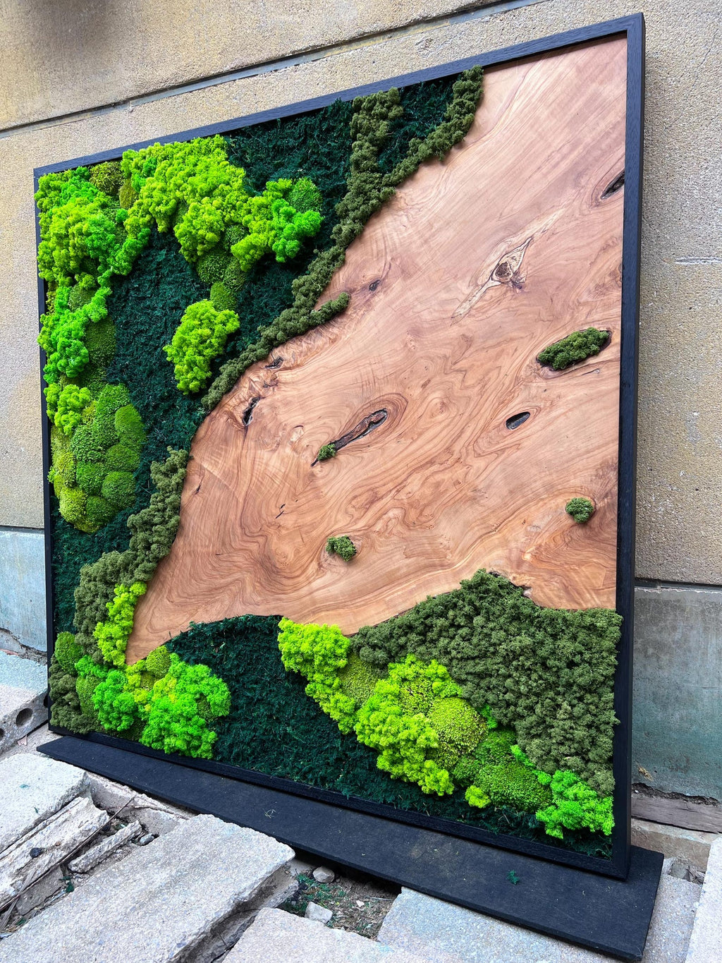 A rectangular wall art piece featuring a natural wood slab with a prominent grain pattern and knots, framed in black. One side is covered in preserved moss in varying shades of bright lime green and deep forest green, creating a textured landscape.