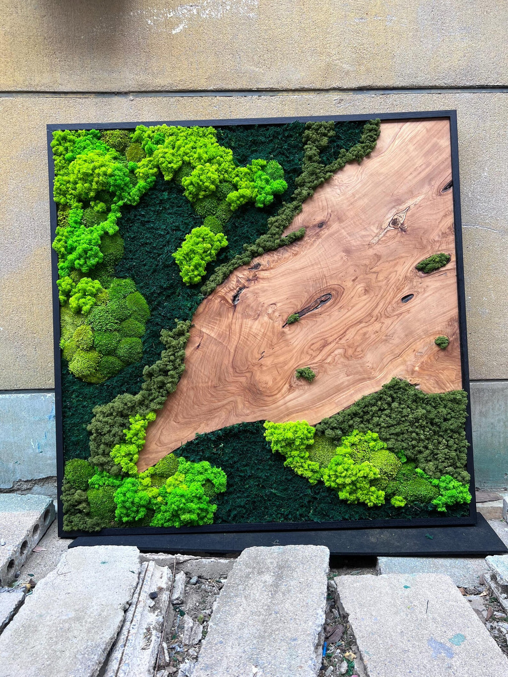 A square wall art piece featuring a natural wood slab with a prominent grain and knots, bordered by preserved moss in varying shades of bright lime green and deep forest green, all enclosed within a thin black rectangular frame.