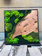 A square wall art piece featuring a natural wood slab with a prominent grain and knots, bordered by preserved moss in varying shades of bright lime green and deep forest green, all enclosed within a thin black rectangular frame.