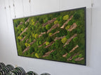 A rectangular wall art piece featuring a dense arrangement of preserved green moss in various shades, interspersed with diagonal strips of textured brown tree bark, all enclosed within a thin, black metal frame.