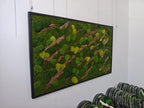 A rectangular wall art piece featuring a black frame filled with preserved green moss in various shades of lime and forest green, interspersed with diagonal strips of textured brown tree bark arranged in a repeating pattern.