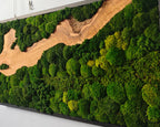 A rectangular wall art piece featuring a dark frame, a central winding section of light brown natural wood grain, and dense clusters of preserved green moss in various shades of emerald, lime, and forest green covering the surface.
