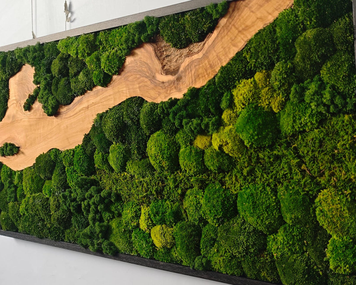 A rectangular wall art piece featuring a dark frame, a central winding section of light brown natural wood grain, and dense clusters of preserved green moss in various shades of emerald, lime, and forest green covering the surface.