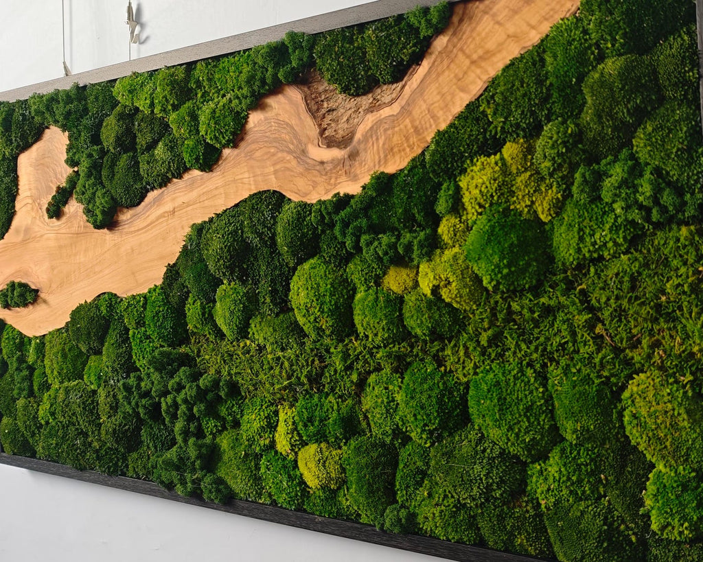 A rectangular wall art piece featuring a dark frame enclosing a natural wood slab with a prominent grain pattern. The wood is surrounded by dense, textured clusters of preserved moss in various shades of vibrant and deep forest green.