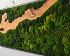 A rectangular wall art piece featuring a dark frame enclosing a natural wood slab with a prominent grain pattern. The wood is surrounded by dense, textured clusters of preserved moss in various shades of vibrant and deep forest green.