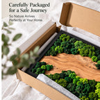 A rectangular wall art piece featuring a natural wood grain panel framed in black, decorated with clusters of preserved green moss. The item is inside a cardboard shipping box with the text Carefully Packaged for a Safe Journey.