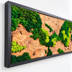 A rectangular wall art piece featuring a natural wood slab with a prominent burl grain pattern, accented by clusters of preserved moss in various shades of bright lime, forest, and emerald green, all encased in a black frame.