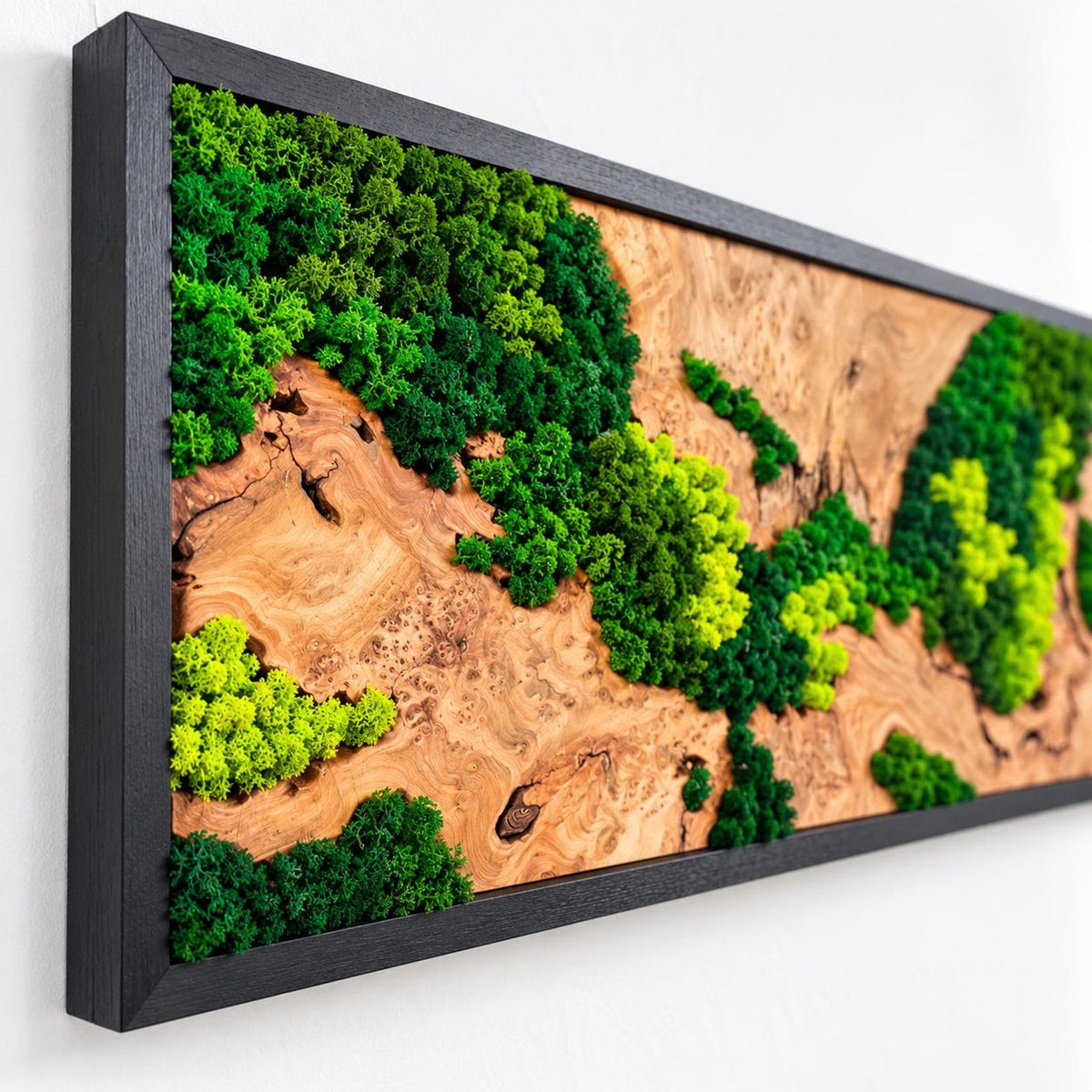 A rectangular wall art piece featuring a natural wood slab with a prominent burl grain pattern, accented by clusters of preserved moss in various shades of bright lime, forest, and emerald green, all encased in a black frame.