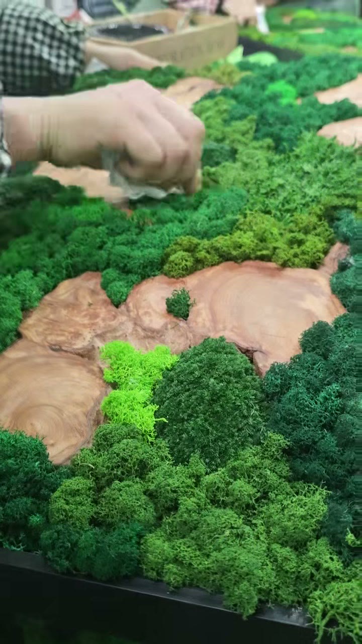 Hands arranging green moss around natural wood slices in an artwork.