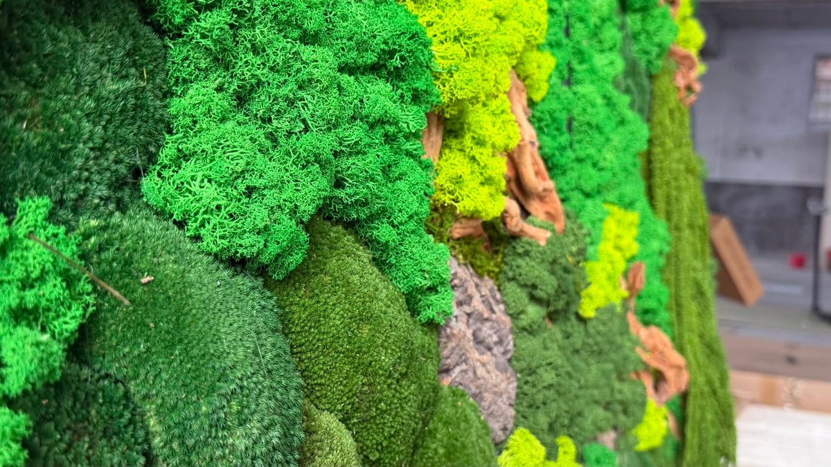 Close-up of varied green moss textures, natural bark and driftwood.