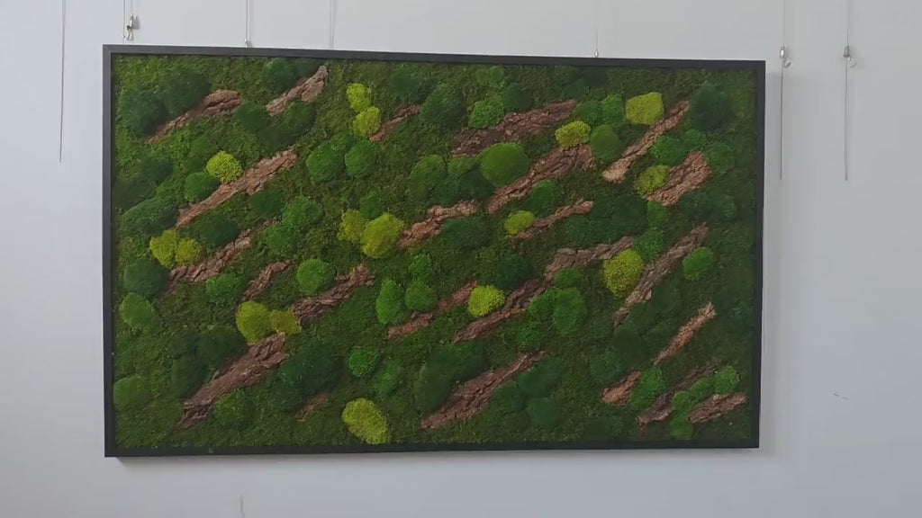 Diagonal Bark & Moss Wall Art product video