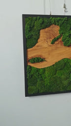 Horizontal 3D Wood & Moss Wall Art product video