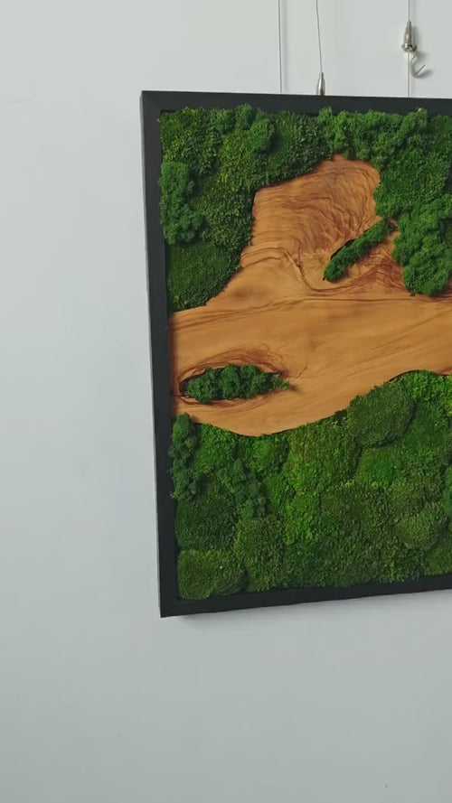 Horizontal 3D Wood & Moss Wall Art product video